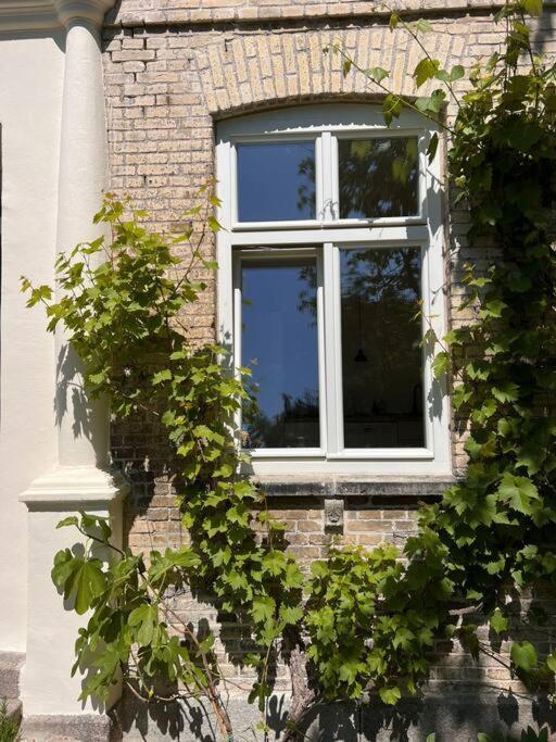 Idyllisches Appartement Nahe Ostsee Und Schlei Rabenkirchen-Faulück Zewnętrze zdjęcie
