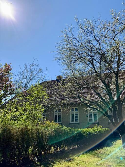 Idyllisches Appartement Nahe Ostsee Und Schlei Rabenkirchen-Faulück Zewnętrze zdjęcie
