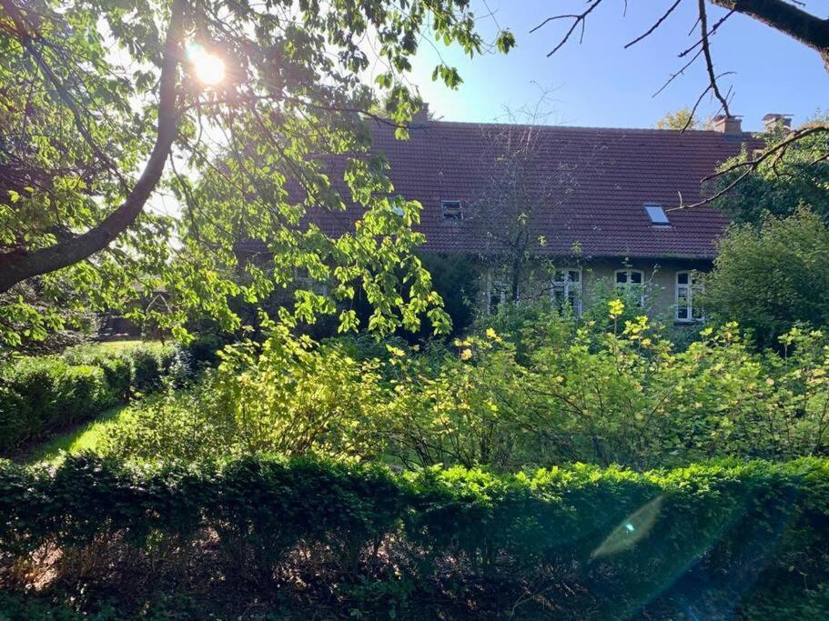 Idyllisches Appartement Nahe Ostsee Und Schlei Rabenkirchen-Faulück Zewnętrze zdjęcie